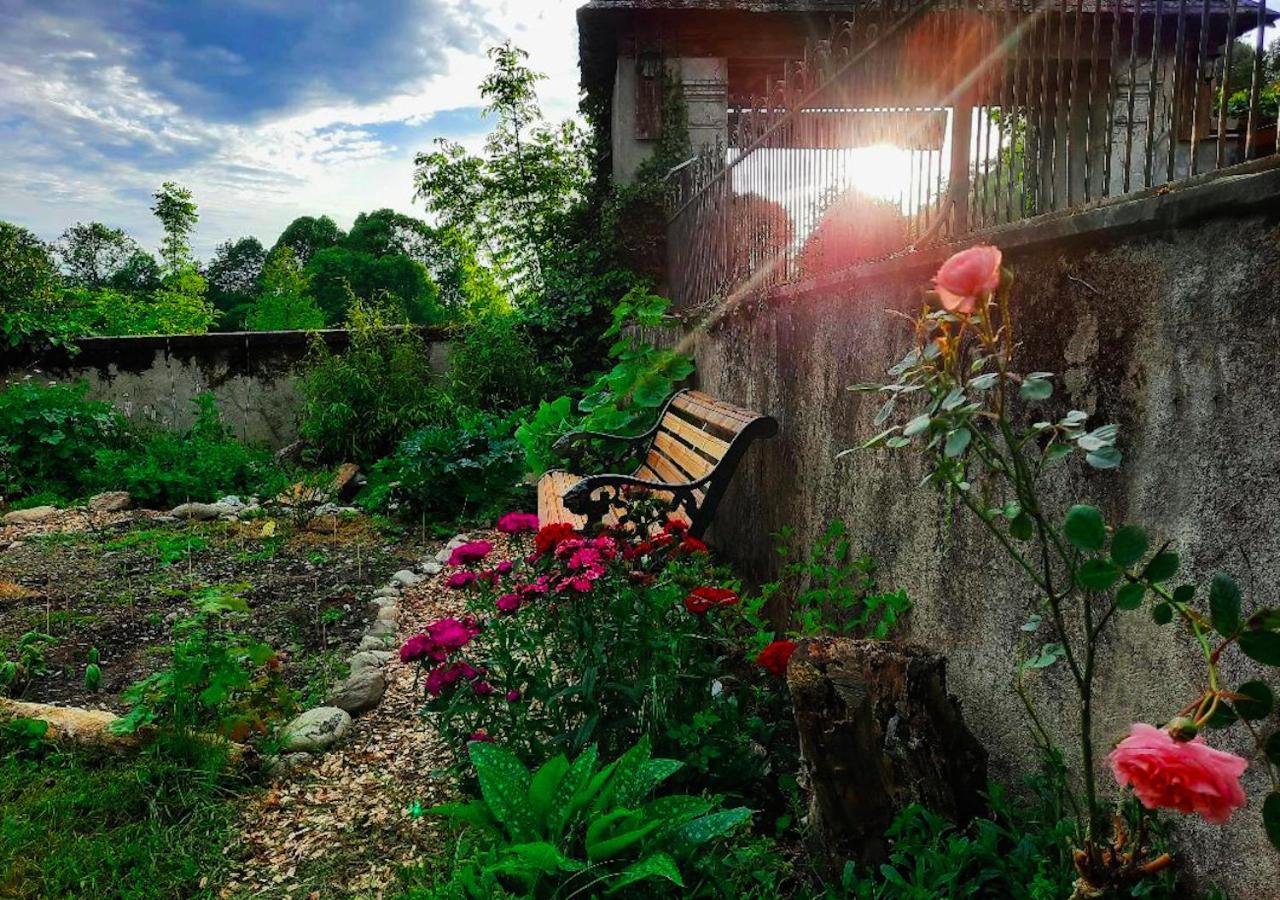 Domaine Lou Castet Bed & Breakfast Tuzaguet Ngoại thất bức ảnh