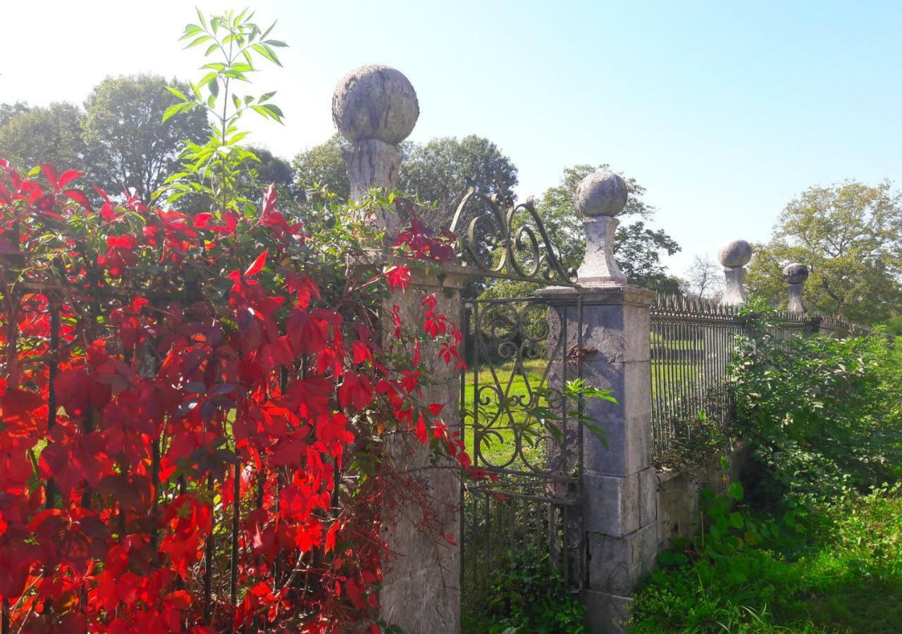 Domaine Lou Castet Bed & Breakfast Tuzaguet Ngoại thất bức ảnh